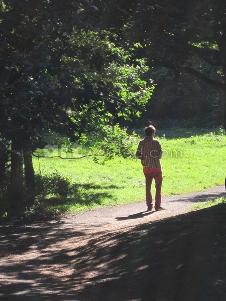 Solitary Walking