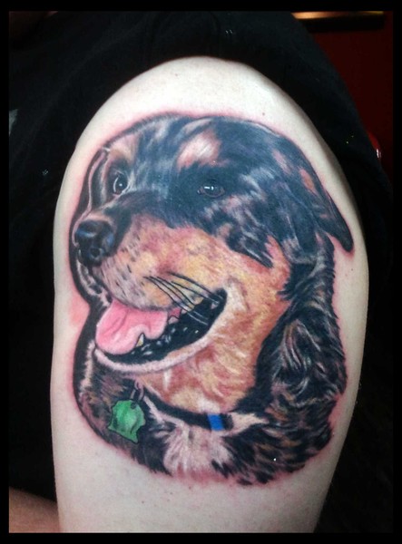 dog portrait