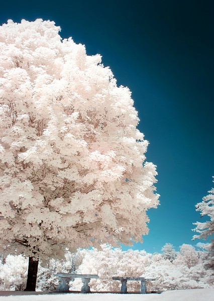 Peaceful