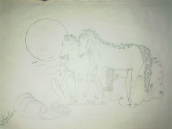 horses