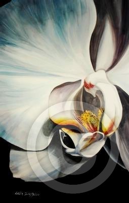 White Orchid