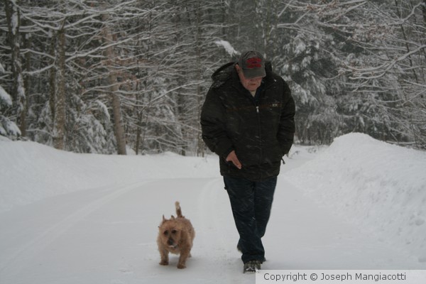Walking the Dog