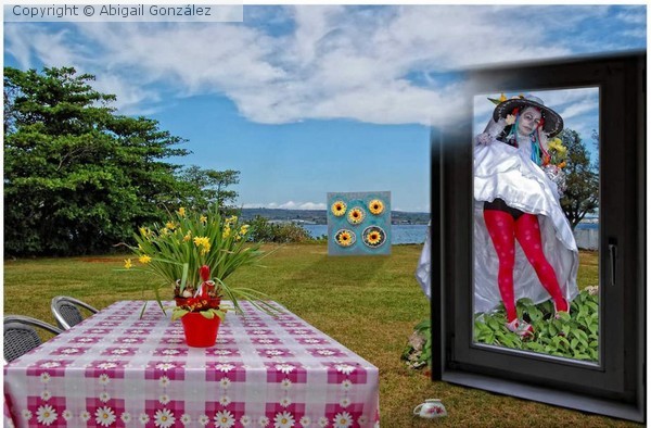 Katrina´s Garden
