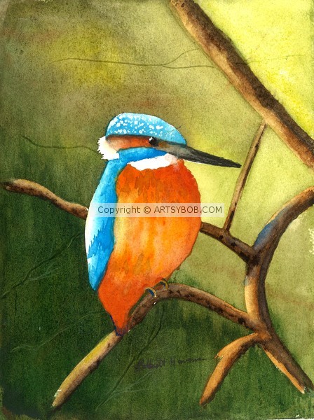 THE KING OF FISHERS