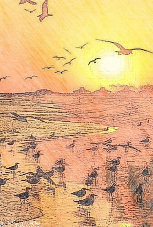 Postcard Sunrise.