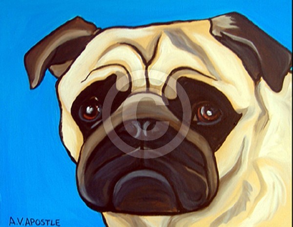 PUG Dog with LIGHT BLUE