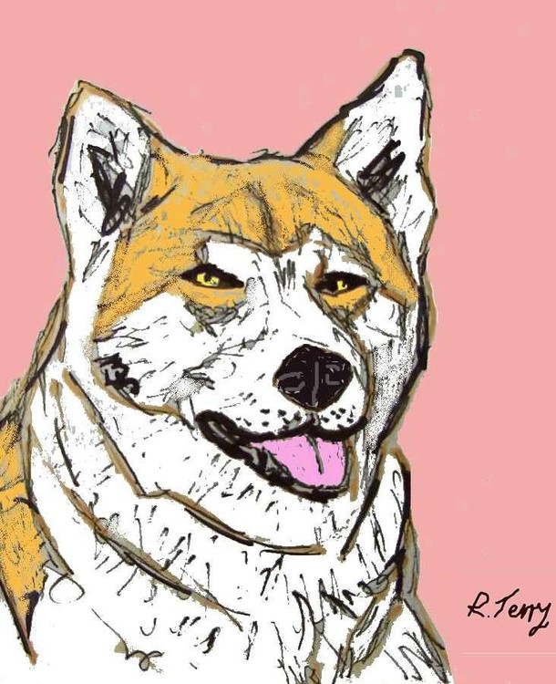 akita