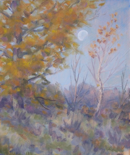 moon at noon