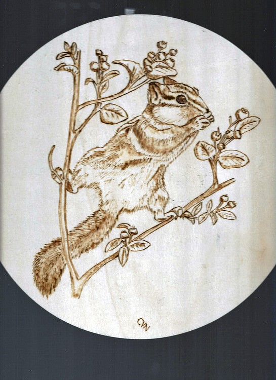 CHIPMUNK edited 1