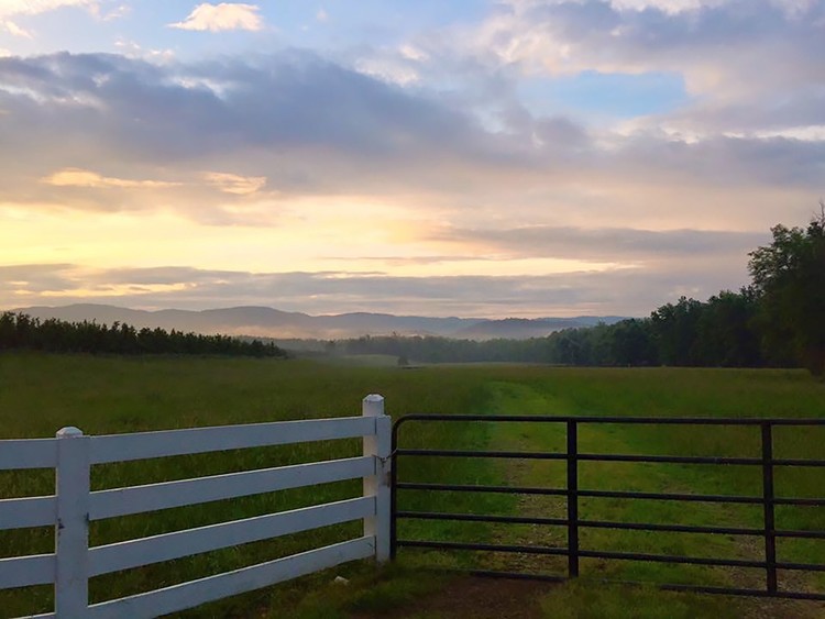 Nelson County