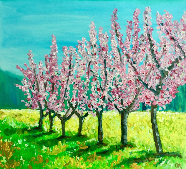 Apple trees in bloom