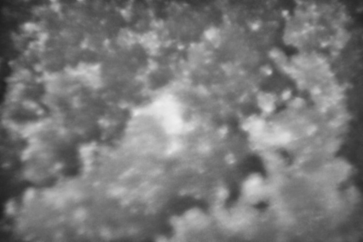 Macro  Space #17