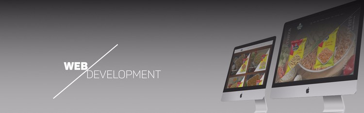 Looking for Best Web Development Company in Rajkot