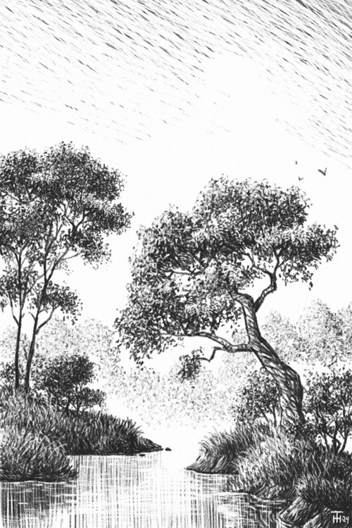 Trees by the River