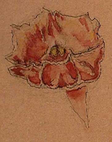 Snapdragon Watercolor