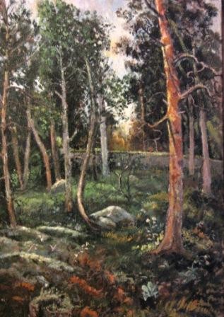 Forest in Abastumani