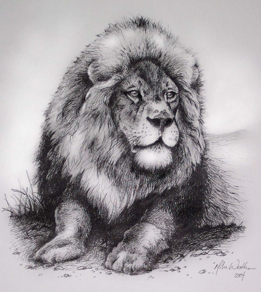 Lion Time