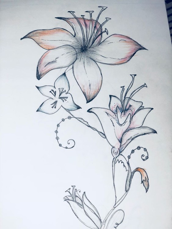 IMG-20180627-WA0006