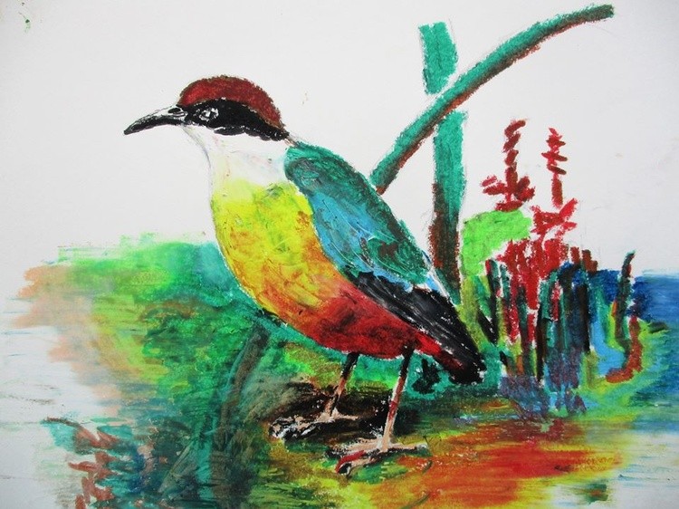 Mangrove Pitta