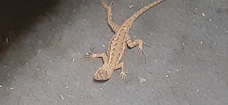 20230415 Agama for your mama