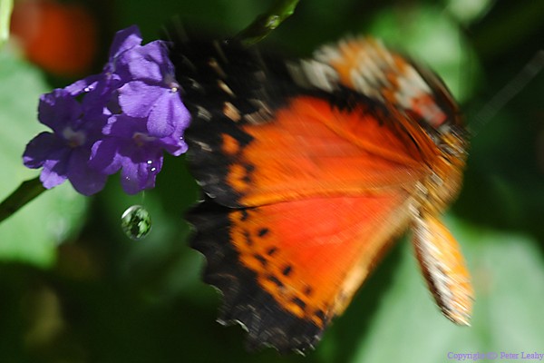 A moment in Time