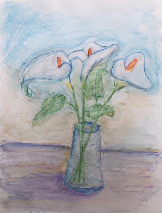 Calla Lily
