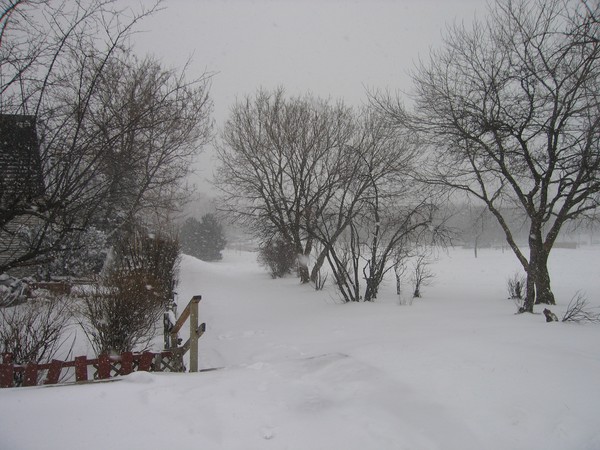 Snow storm in January
