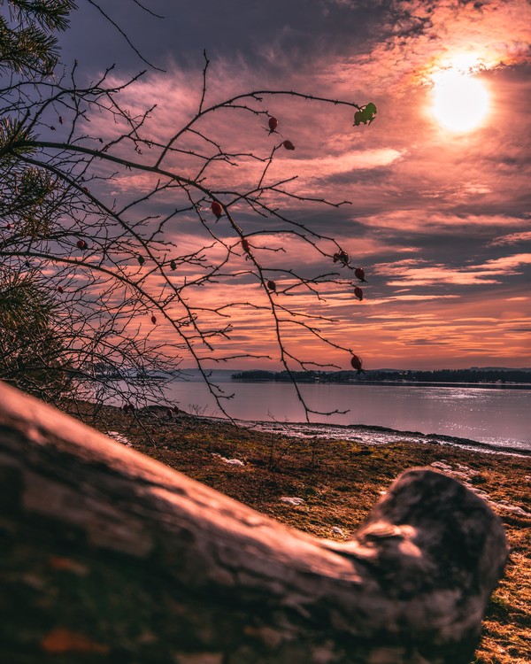 Magical landscape