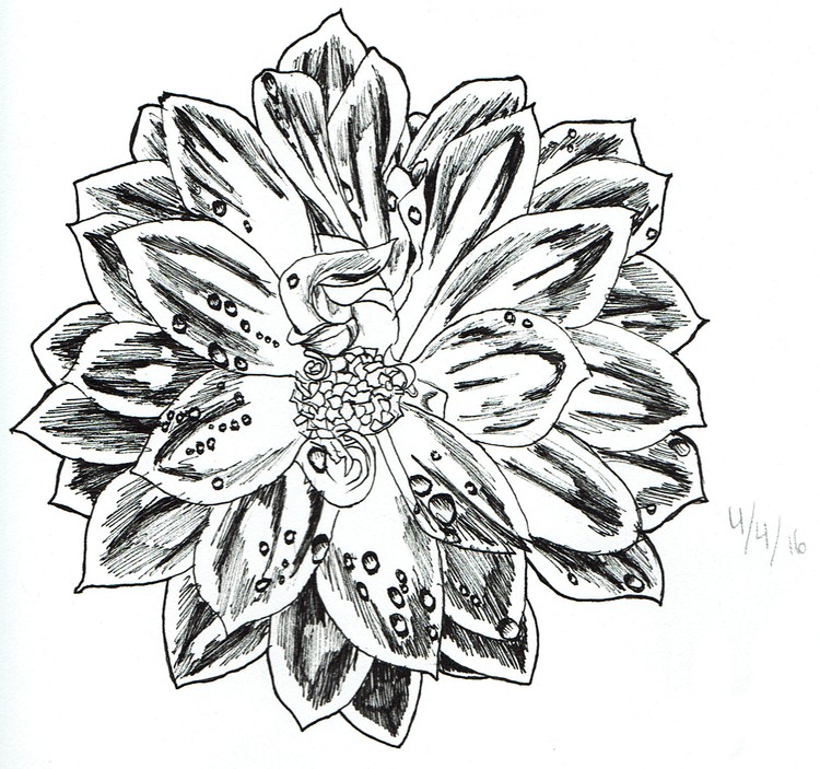 Flower Practice