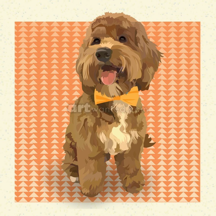 Doodle boy