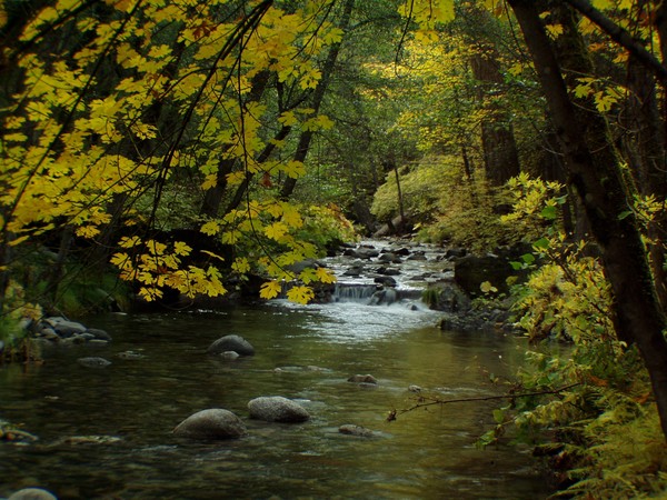 Crystal Creek Water Ditch