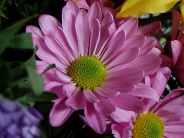 Pretty is as Pretty Does