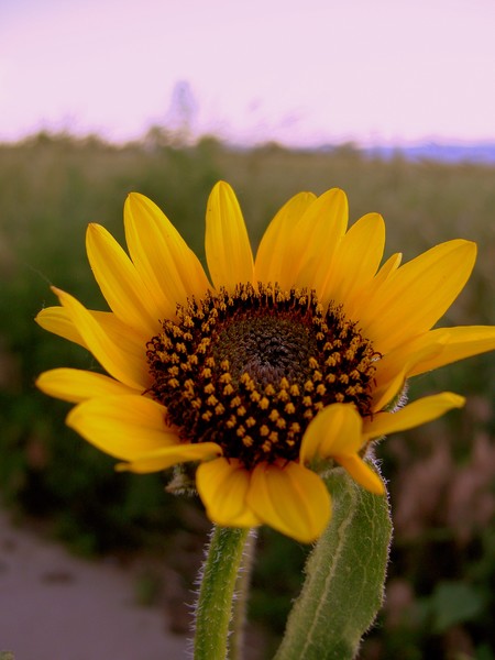 Welcome to Summer Time!