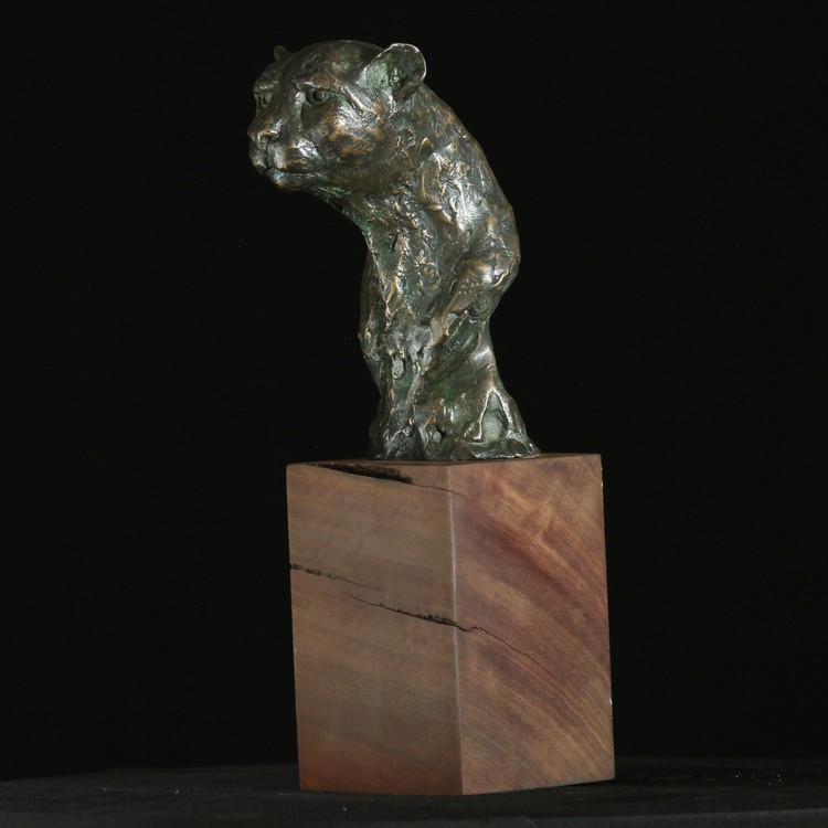 CHEETAH BUST