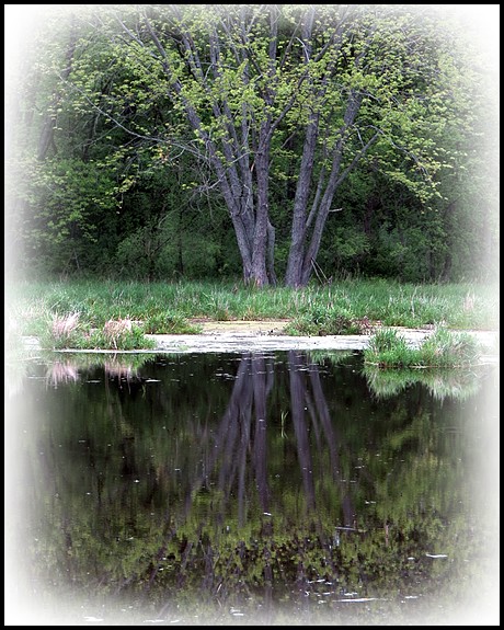 A Reflective Morning