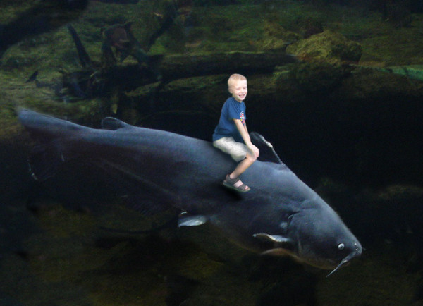 Cherokee and the Fish