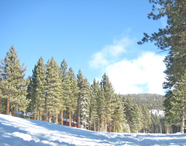 KAREN MURO SNOW