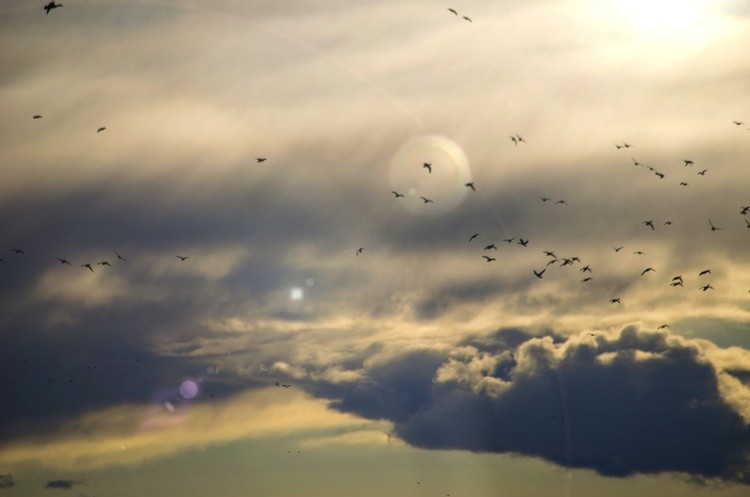 heaven with lens flare