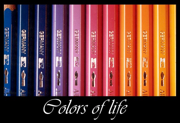 colors of life
