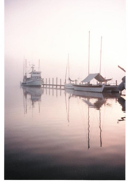 early morning