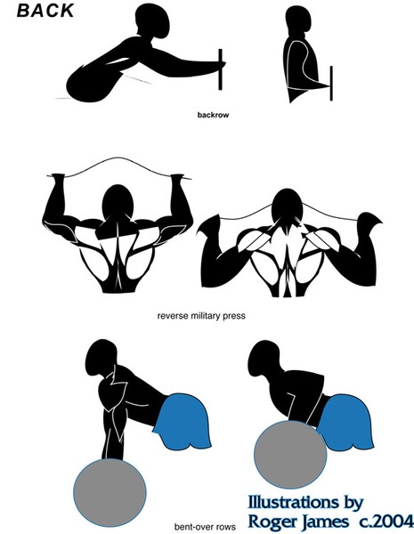 Fitness Program