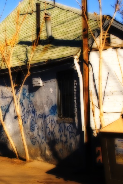 The Alley, Backyard #3