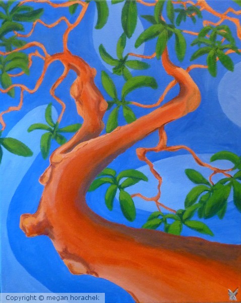 Arbutus