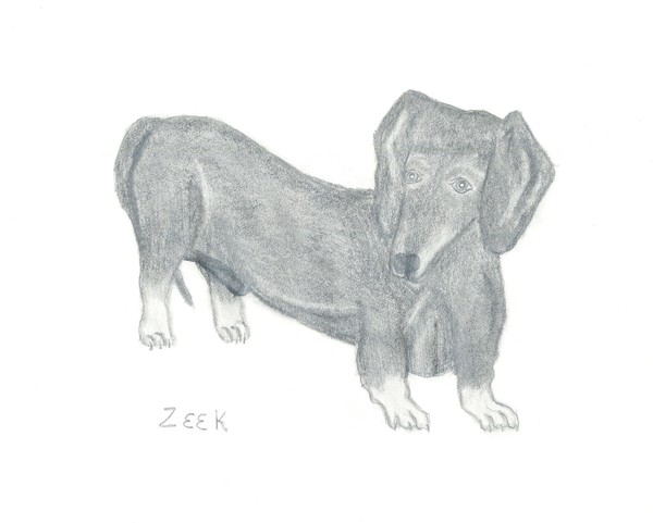 Zeek