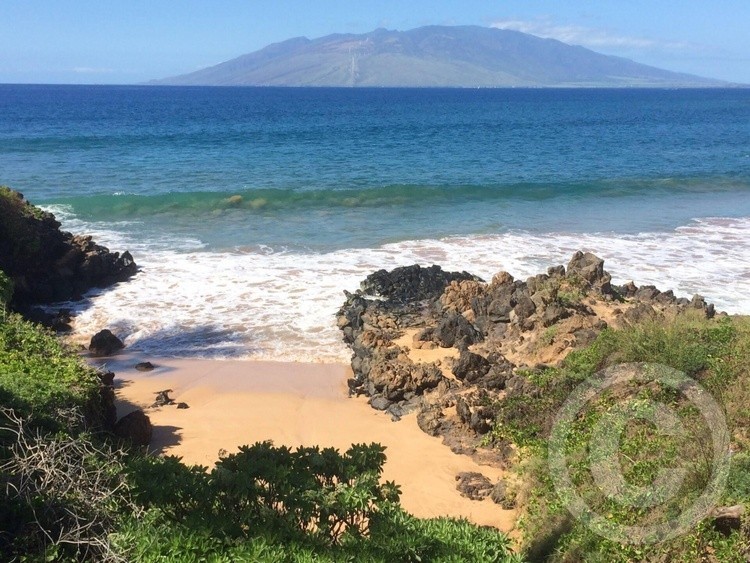 Hawaii beach