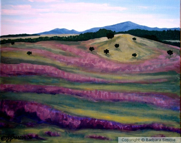 NM Hills with flowers