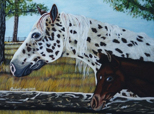 Appaloosa Mare & Foal
