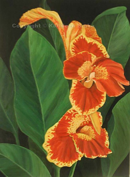 Orange Canna Lilies