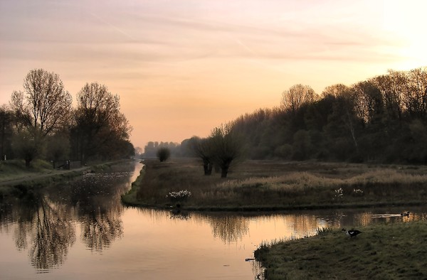 Dutch nature