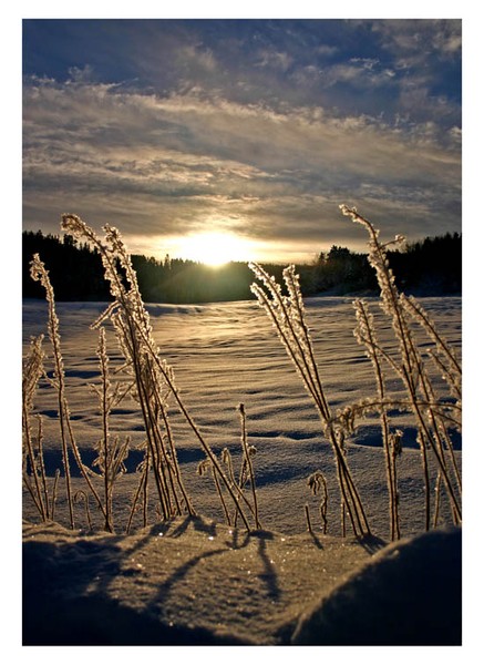 Winter Trondheim
